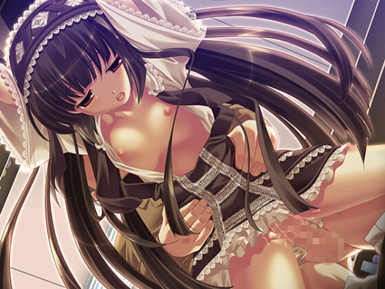 【DL版】むすめーかーHDリマスター