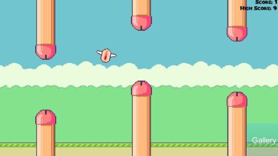 FlappyPussy [X Starer] | DLsite 同人 - R18