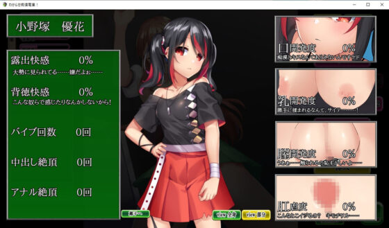 おさわり痴●列車！ 〜生意気メス〇キを羞恥調教〜(ピルメニコン) - FANZA同人