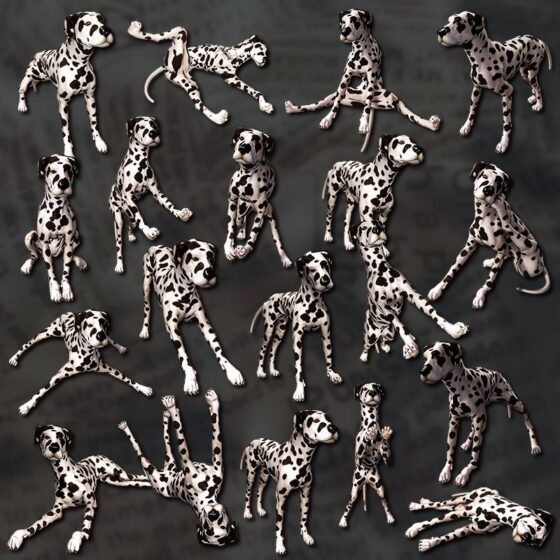 CL-Dalmatian for Poser8Dog(Chocoンとこ) - FANZA同人