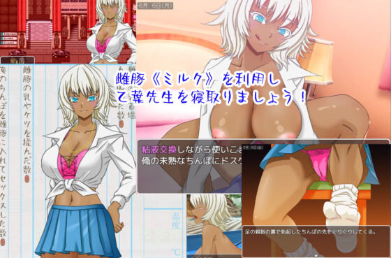 Otsuyou's Netorare Diary (NetLink NTR)