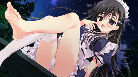 【DL版】彼女のセイイキ【萌えゲーアワード2014 話題賞受賞】 