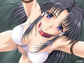 【DL版】超光戦隊ジャスティスブレイドシリーズパック 