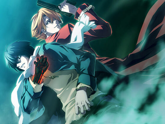 【DL版】Dies irae 〜Amantes amentes〜 HD −Animation Anniversary−【全年齢向け】 