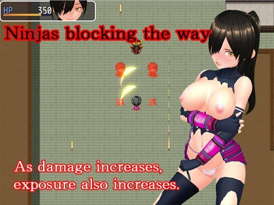 NTR Kunoichi Ayame 〜Retrieve the secret book of the village！ 〜(N＆R) - FANZA同人