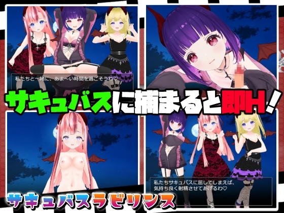 サキュバスラビリンス [Animism] | DLsite 同人 - R18