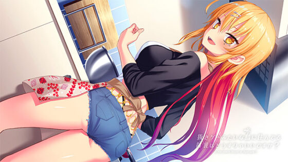 【ぬきたし】抜きゲーみたいな島に住んでる貧乳（わたし）はどうすりゃいいですか？ 1＋2パック