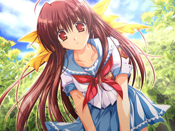 車輪の国、向日葵の少女