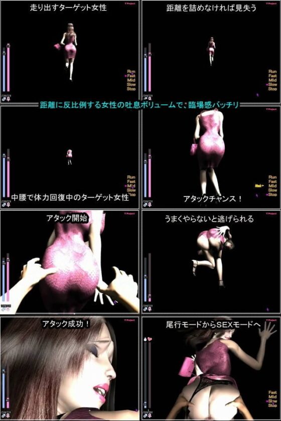 女の尻を追う [T プロジェクト] | DLsite 同人 - R18