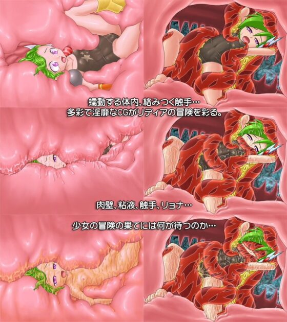 Card Quest リディアの冒険 [D-Gate] | DLsite 同人 - R18