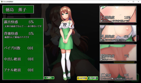 おさわり痴●列車！ 〜生意気メス〇キを羞恥調教〜(ピルメニコン) - FANZA同人