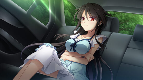 【DL版】月影のシミュラクル −解放の羽−【萌えゲーアワード2017 話題賞 受賞】 