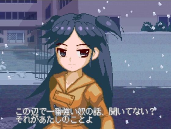 BLITZARD 製品版 [ウサギヤマ動物園] | DLsite 同人 - R18