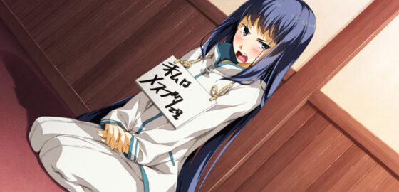 【DL版】相州戦神館學園 八命陣【萌えゲーアワード2014 燃え系作品賞受賞】 