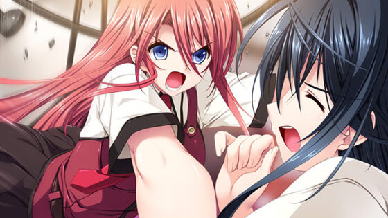 【DL版】恋する乙女と守護の楯 〜薔薇の聖母〜 