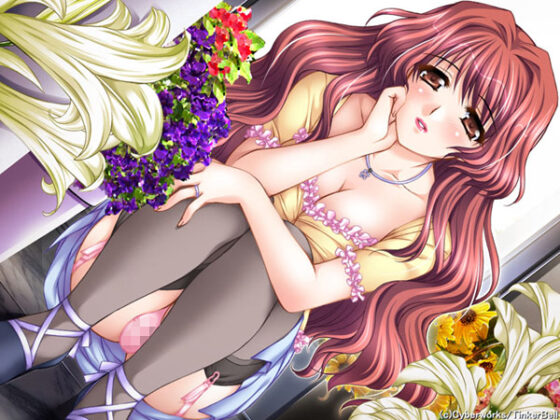 【DL版】兄嫁はいじっぱり 