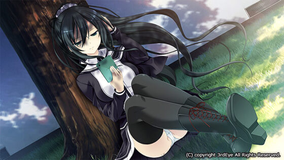 【DL版】ソーサリージョーカーズ【萌えゲーアワード2015 シナリオ賞 受賞】 