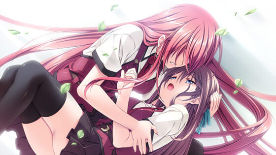 【DL版】恋する乙女と守護の楯 〜薔薇の聖母〜 