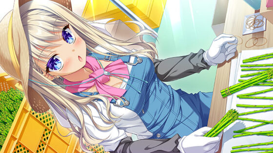 【DL版】【期間限定】サガプラ25周年記念！アンミツまとめパック 