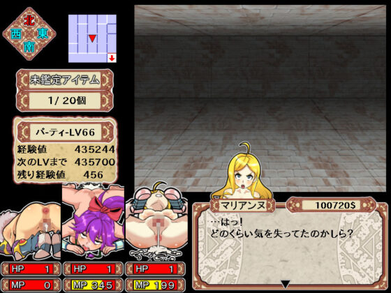 ダンジョンオブエロチックマスター(るしまる堂) - FANZA同人