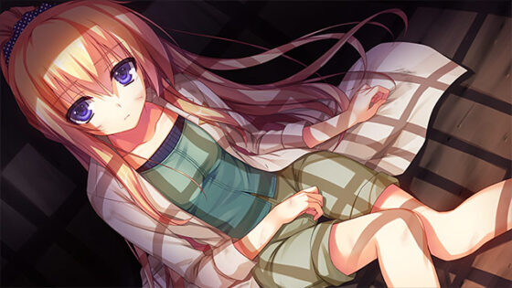 【DL版】レミニセンス Re:Collect【萌えゲーアワード2014 キャラクターデザイン賞 受賞】 