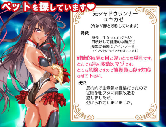 迷路アクションRPGシャドウランナーユキカゼ〜寝取られ堕ちたちっぱい忍〜(アリオンキャンバス) - FANZA同人