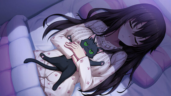 【DL版】ノラと皇女と野良猫ハート −Nora,Princess,and Stray Cat.−【萌えゲーアワード2016 キャラクターデザイン賞 受賞】