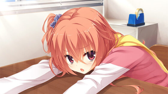 サノバウィッチ【萌えゲーアワード2015 キャラクターデザイン賞 受賞】