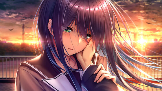 アマカノ2セット