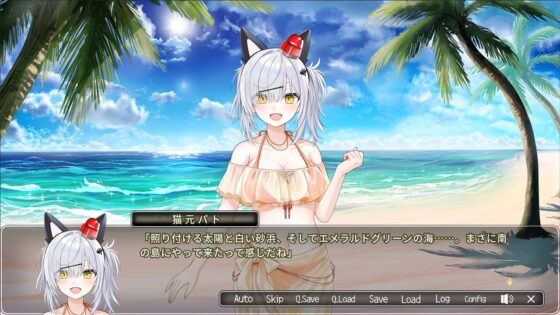 【特典セット版】パト猫クエストII 珍猫はつれえよなあ [Rabbitfoot] | DLsite PCソフト