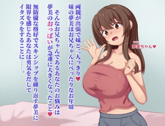 【スマホ版】夢美ちゃんすやすや調教録 [陸の埠頭] | DLsite