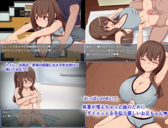 【スマホ版】夢美ちゃんすやすや調教録 [陸の埠頭] | DLsite