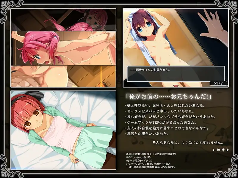 【スマホ版】限界!?お兄ちゃん シスタートラベル【DL Play Box版】 [いぬすく] | DLsite