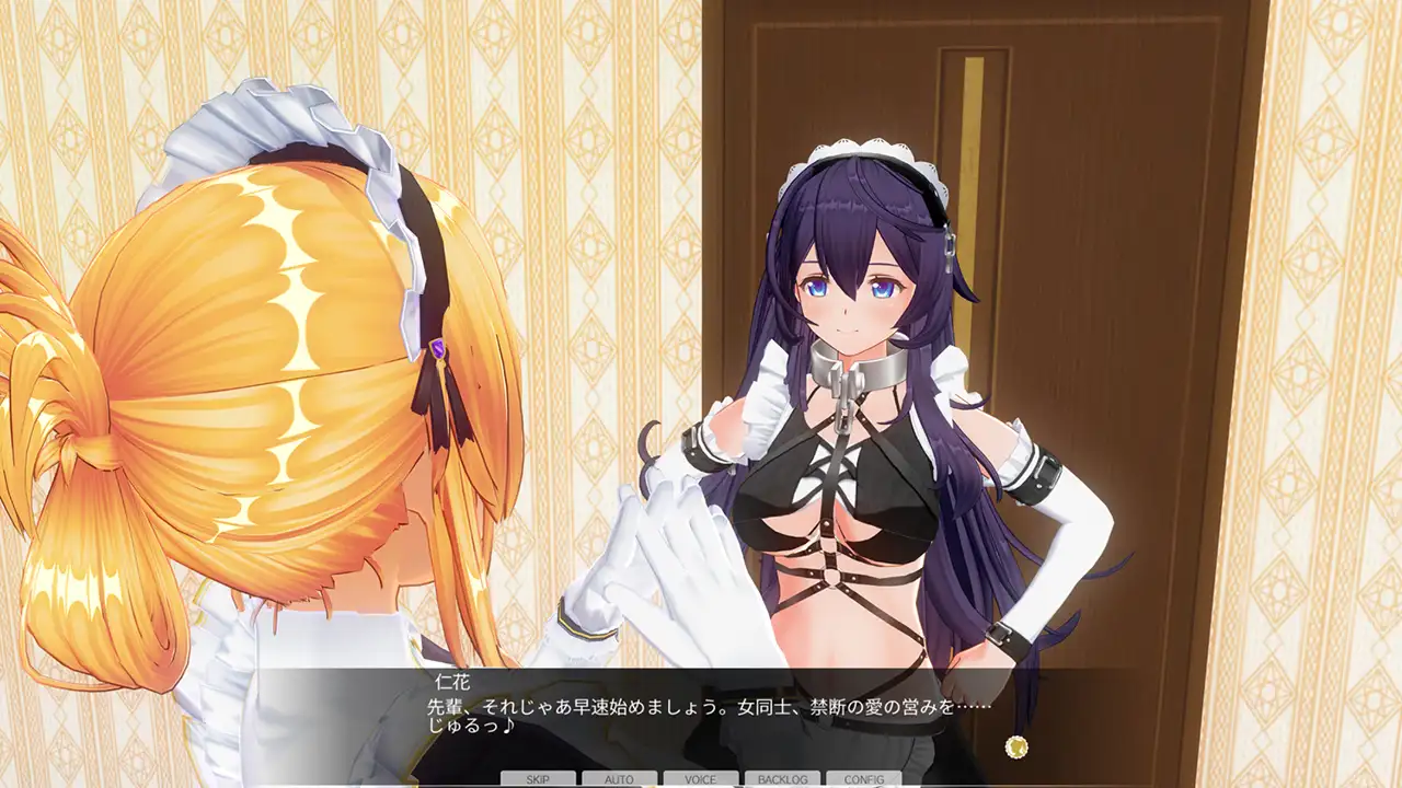 カスタムオーダーメイド3D2&2.5 キャラクターパックEX ド変態ドM [Kiss] | DLsite 美少女ゲーム - R18