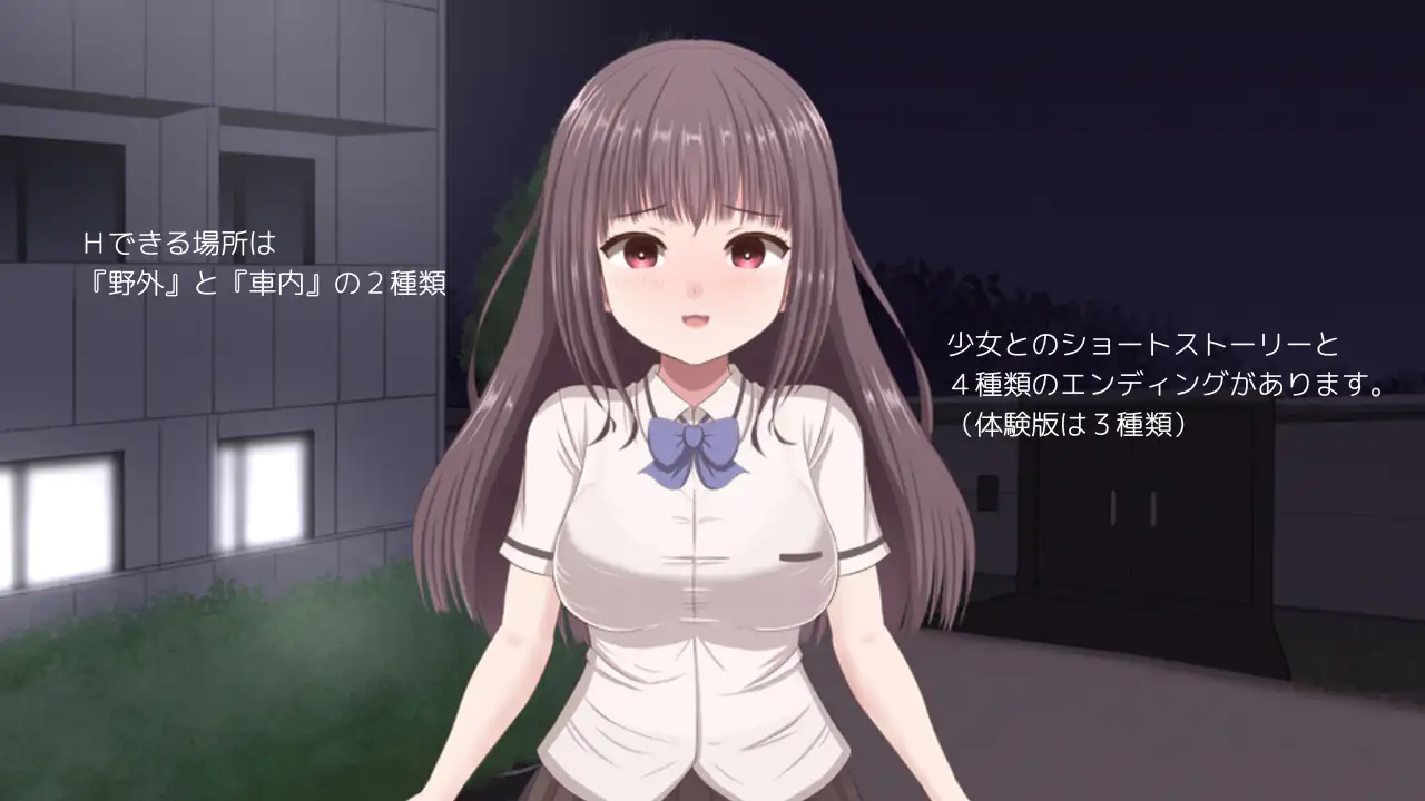 無理やりHシミュレーション～家出少女を凌○～ [mikoto] | DLsite 同人 - R18