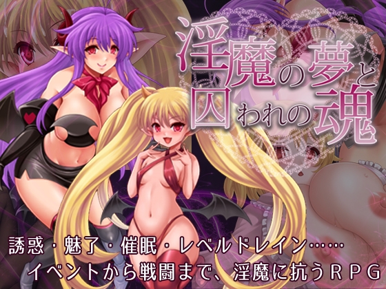 淫魔の夢と囚われの魂 [蒼桜] | DLsite 同人 - R18