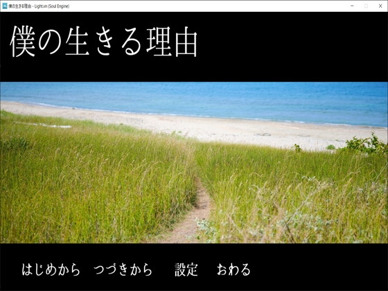僕の生きる理由 [未来色原石] | DLsite 同人 - R18
