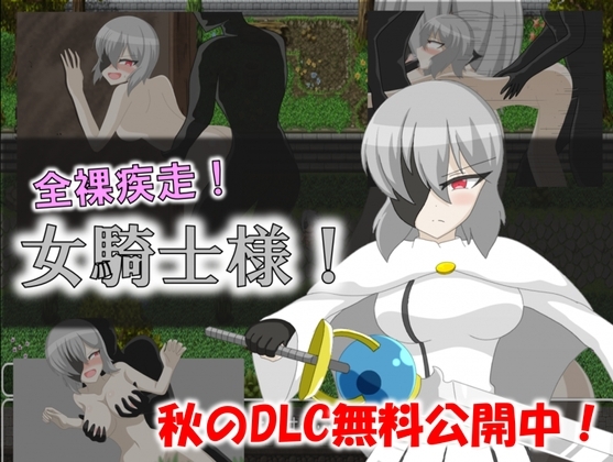 全裸疾走!女騎士様! [眼帯ドクロ] | DLsite 同人 - R18