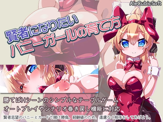 賢者になりたいバニーガールの育て方 [AleCubicSoft] | DLsite 同人 - R18