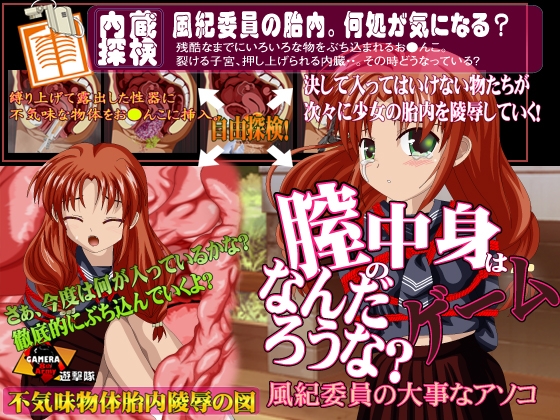 膣の中身はなんだろうなゲーム-風紀委員の大事なアソコ- [ガメラ第8軍] | DLsite 同人 - R18