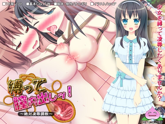 縛って膣内出しッ!～絶対陵辱調教～ [けつももこ] | DLsite 同人 - R18