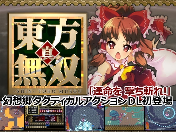 真・東方無双 [はちみつくまさん] | DLsite 同人 - R18