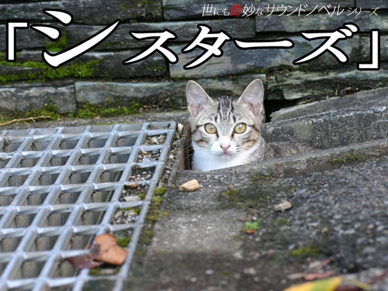 シスターズ [金沢自転車学校] | DLsite 同人 - R18