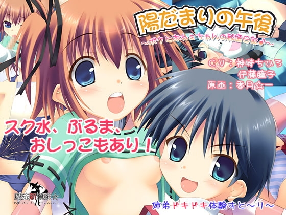 ボクとおねぇちゃんの秘密日記ー陽だまりの午後ー [魔法新撰組] | DLsite 同人 - R18