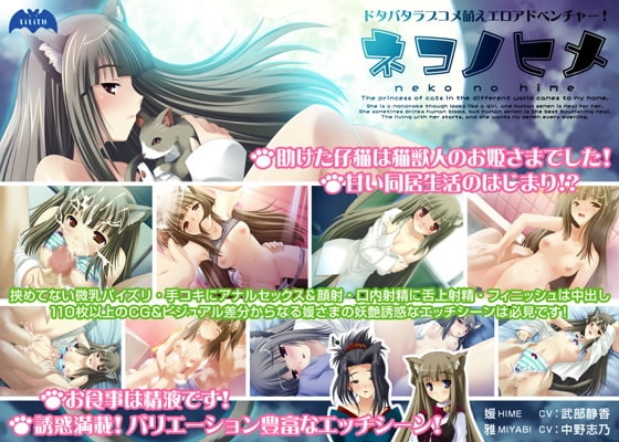 ネコノヒメ [Lilith [リリス]] | DLsite 同人 - R18