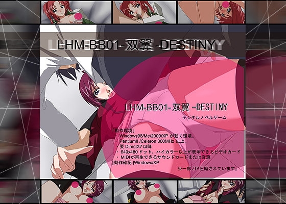 LHM-BB01-Twin Wings-DESTINY [Tsuki no Sakana]