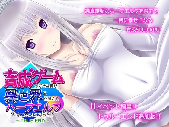 育成ゲーム大好きな俺が異世界に召喚されハーフエルフを育てることになった！？ -TRUE END-(不透明Z) - FANZA同人