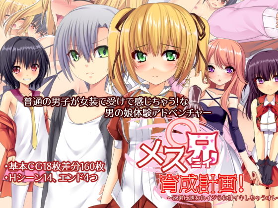 メス兄育成計画！〜乙弟に誘われイジられ甘イキしちゃうオレ〜(6colors) - FANZA同人