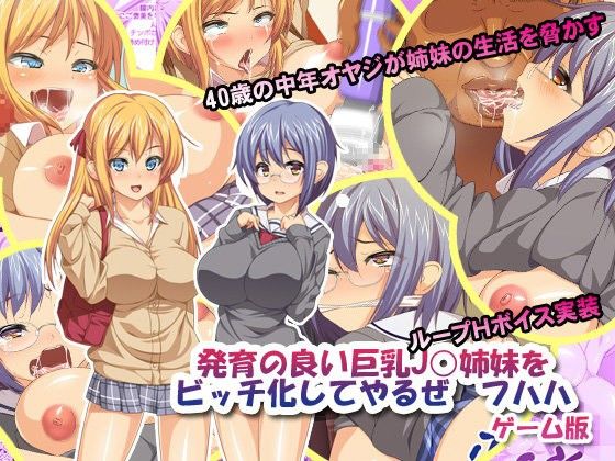 発育の良い巨乳●●姉妹をビッチ化してやるぜ フハハ ゲーム版(鳥居姫) - FANZA同人