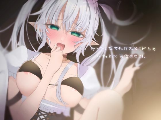 ツンデレなサキュバスメイドとのいちゃらぶ共同生活。(ソルティヒップ) - FANZA同人